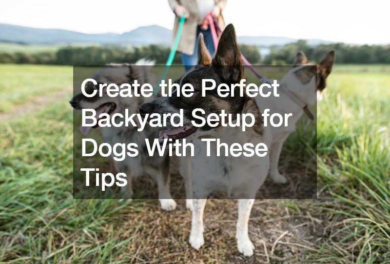 Create the Perfect Backyard Setup for Dogs With These Tips