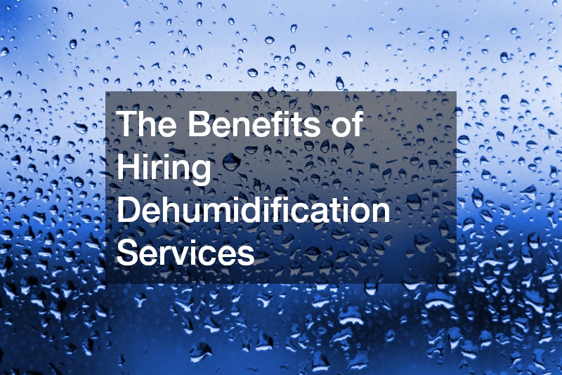 The Benefits of Hiring Dehumidification Services