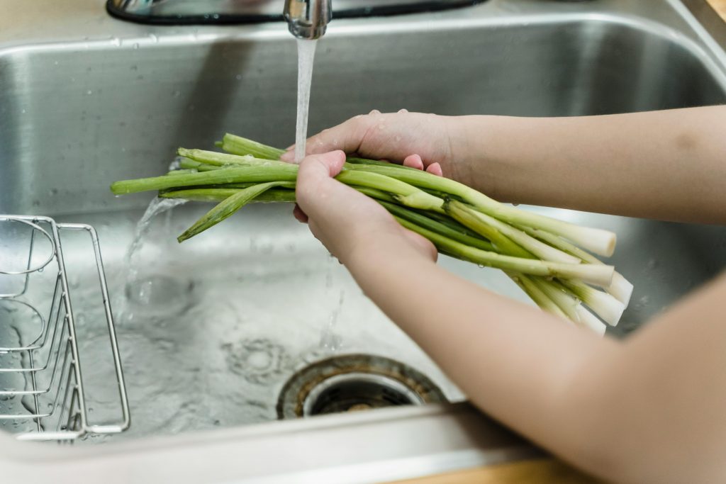 how to keep green onions fresh