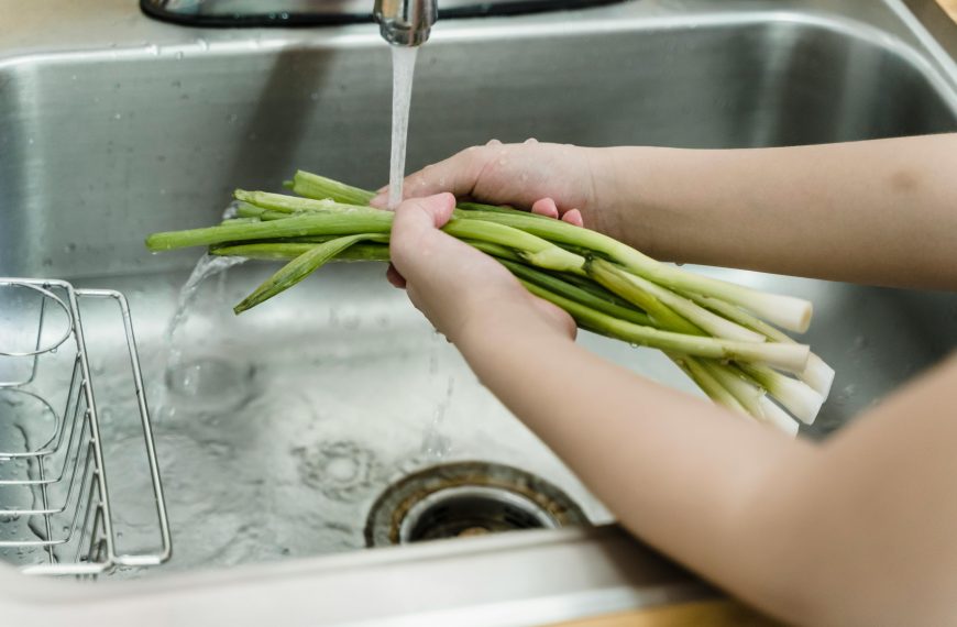 how to keep green onions fresh